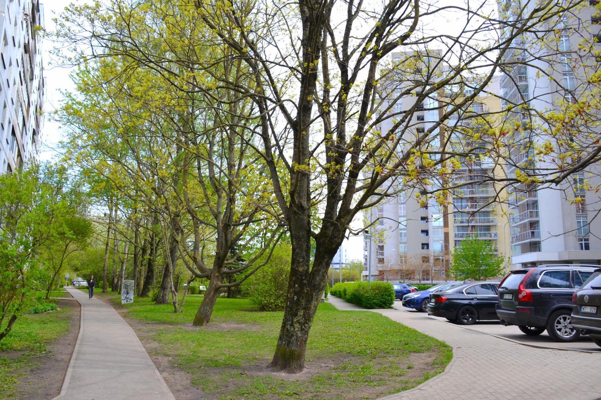 Imanta Apartment Riga 2Х Rooms 52М2 מראה חיצוני תמונה